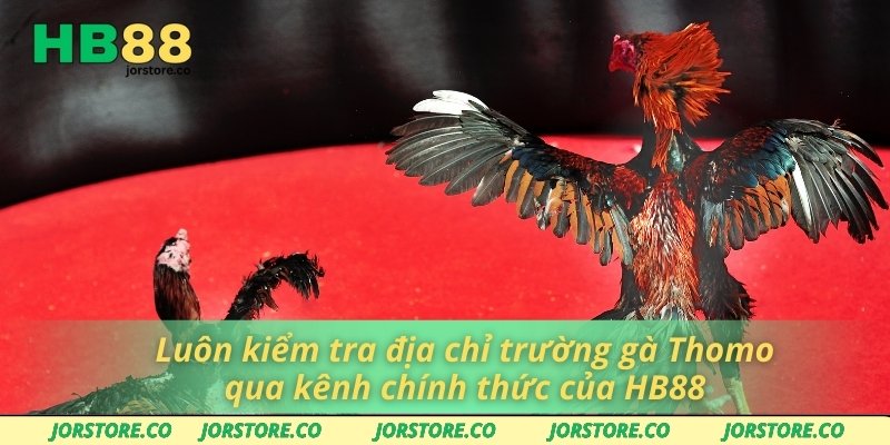 Địa Chỉ Trường Gà Thomo – Lựa Chọn Số 1 Cho Người Chơi Luôn kiểm tra địa chỉ trường gà Thomo qua kênh chính thức của HB88